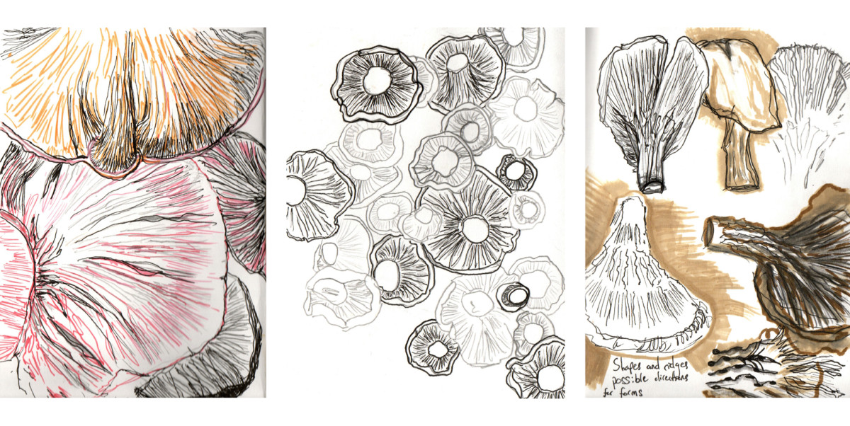 Primary research drawings