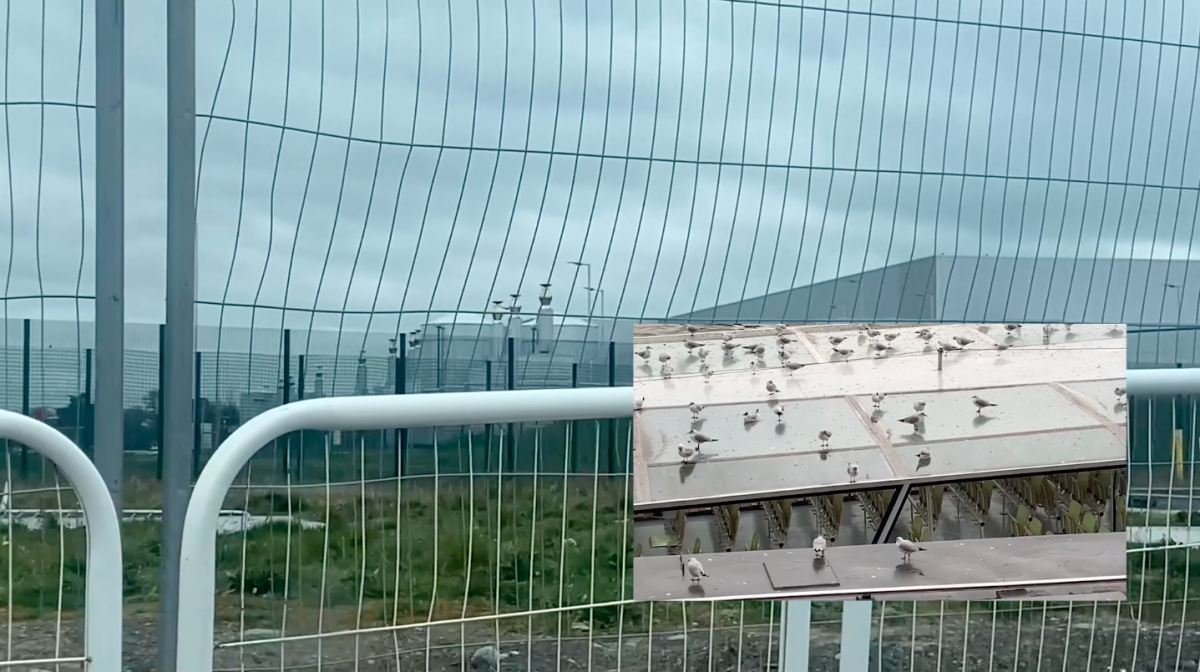 Video still from 'Edifice Unbound' (2022) layered documentary footage, depicting birds on the Seine and a data centre on the outskirts of Navan, Ireland