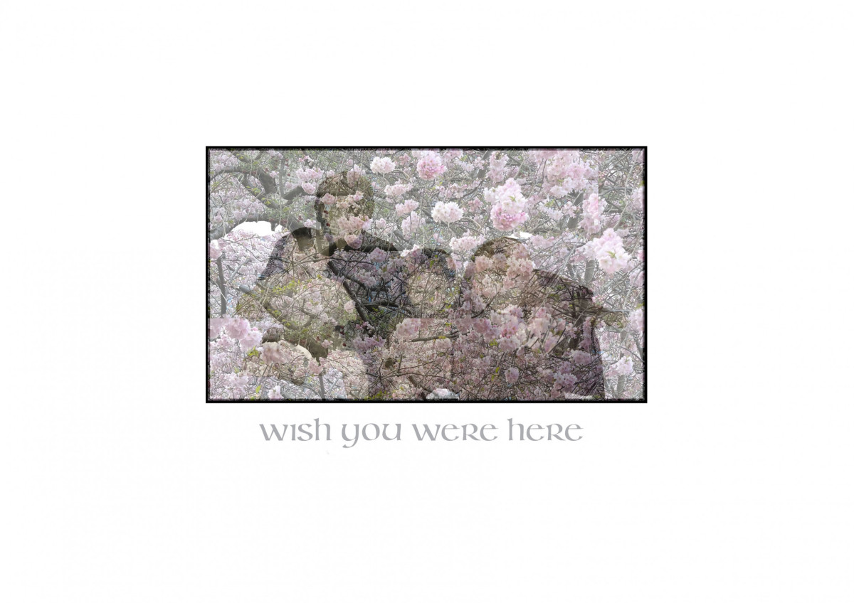 'wish you were here'; Postcard